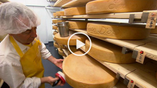 Sur la piste des fromages fermiers du Québec