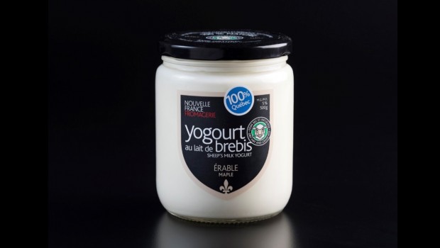 Yogourt de brebis (érable) - Fromagerie Nouvelle France